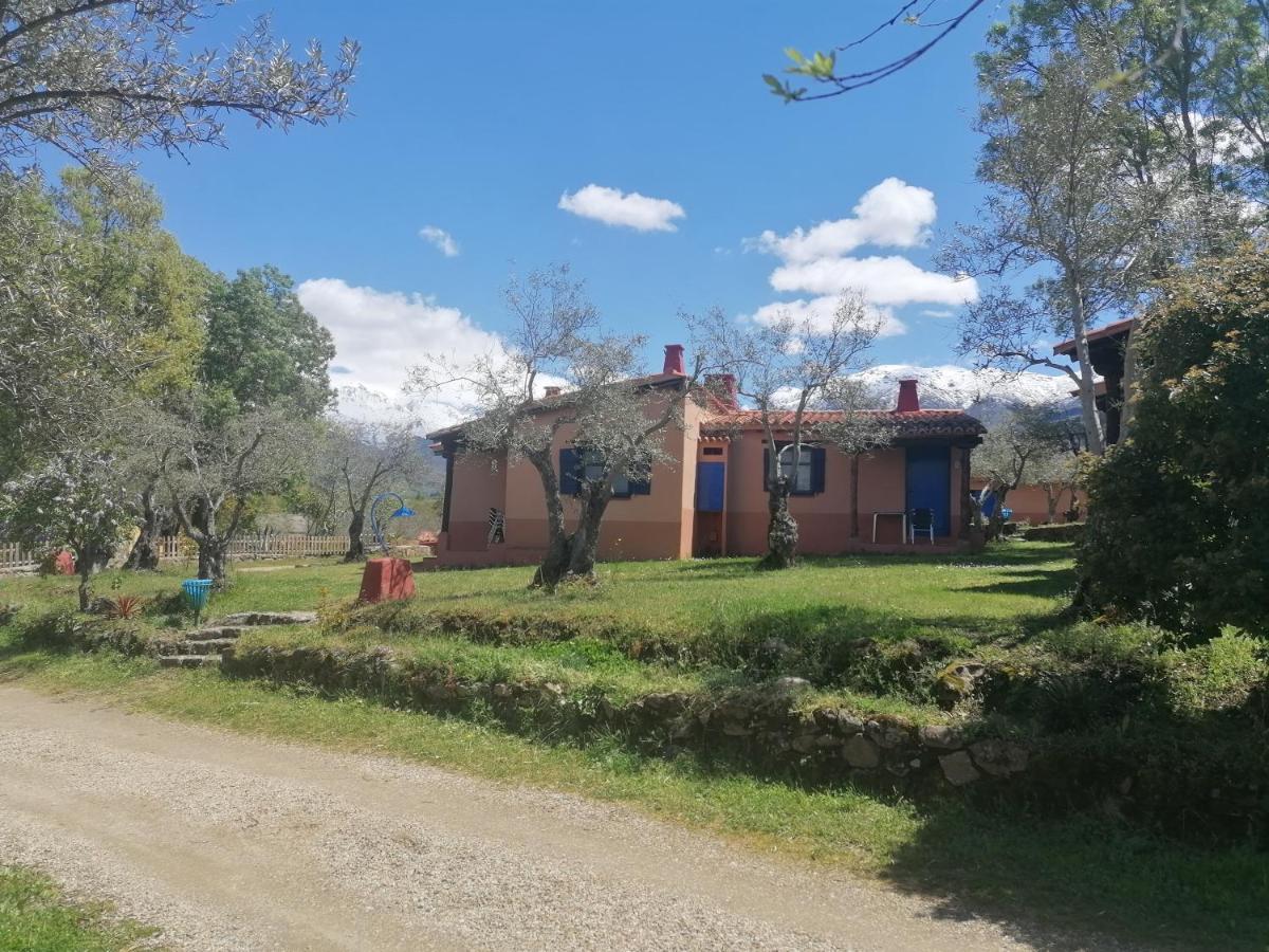 Complejo Aldea Vetonia Check Out Hasta Las 20H Parque De Mascotas Zonas Infantiles Ideal Grupos Parejas Familias Informate Apertura Piscina 1 De Mayo แอร์วาส ภายนอก รูปภาพ