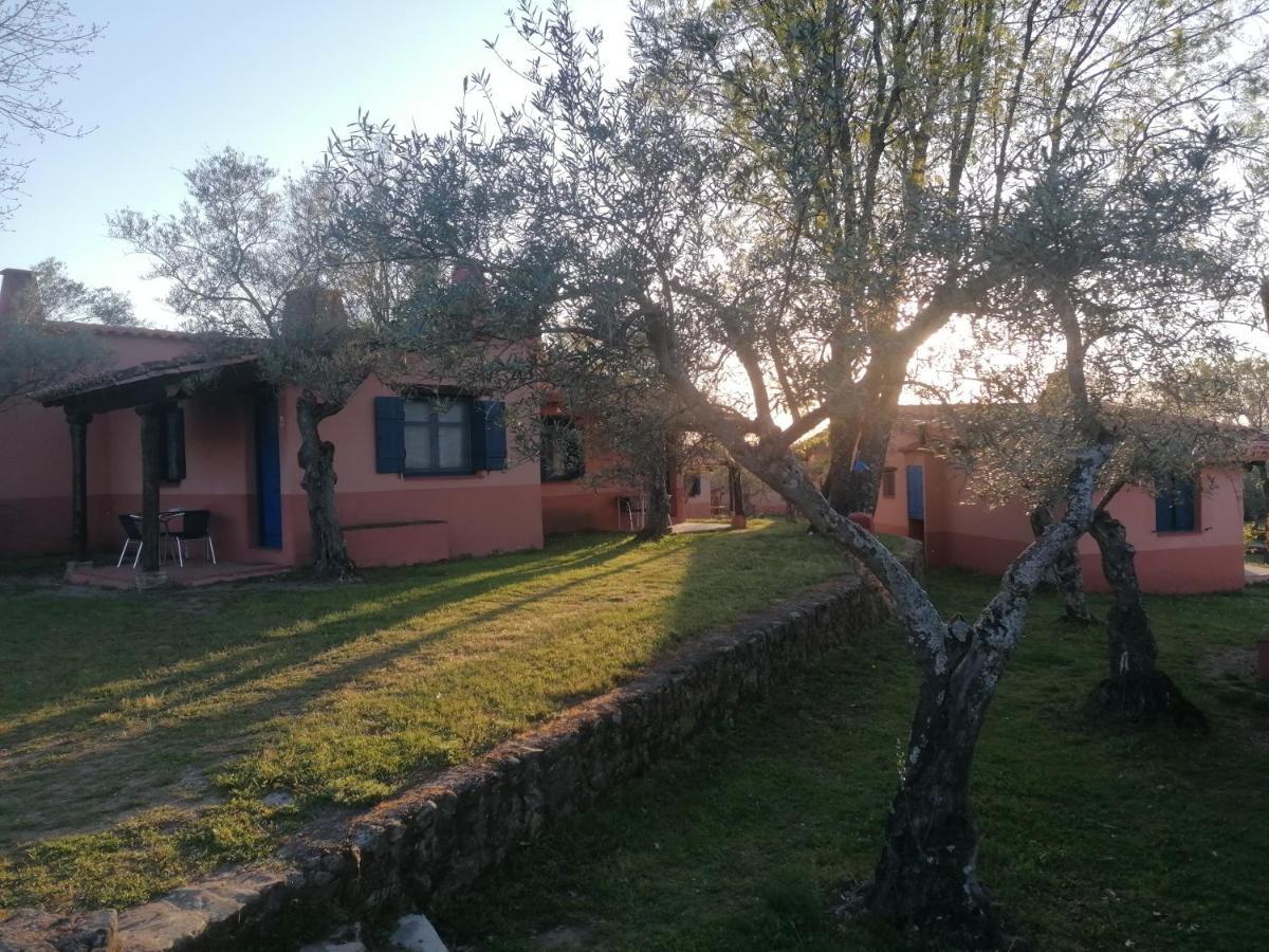 Complejo Aldea Vetonia Check Out Hasta Las 20H Parque De Mascotas Zonas Infantiles Ideal Grupos Parejas Familias Informate Apertura Piscina 1 De Mayo แอร์วาส ภายนอก รูปภาพ