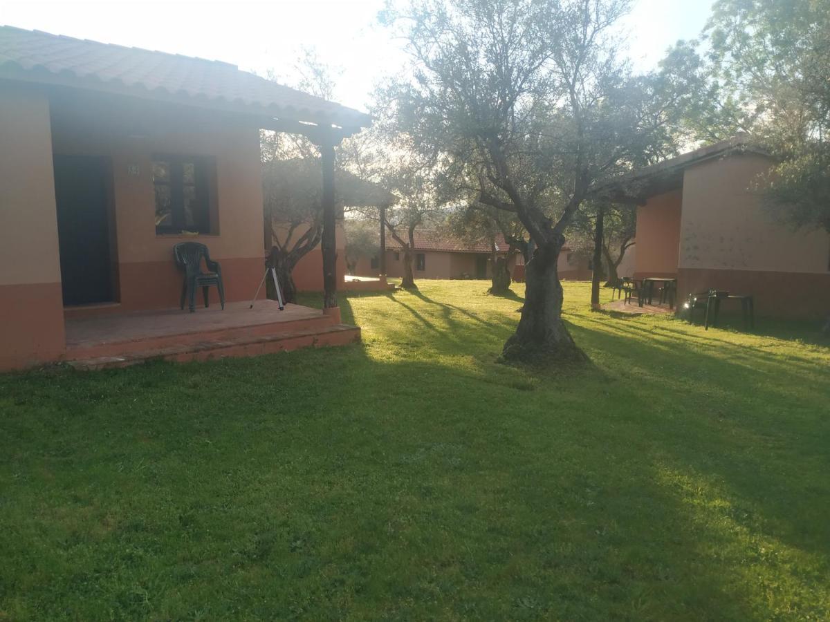 Complejo Aldea Vetonia Check Out Hasta Las 20H Parque De Mascotas Zonas Infantiles Ideal Grupos Parejas Familias Informate Apertura Piscina 1 De Mayo แอร์วาส ภายนอก รูปภาพ
